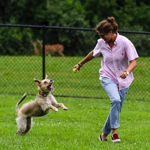 Meet your Posher, Sydney